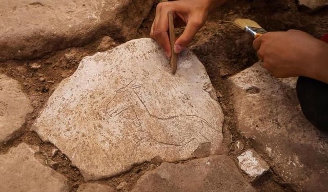 Şanlıurfa'da yer alıyor... Karahantepe’de yeni arkeolojik keşif: Koşar yaban eşeği figürü bulundu