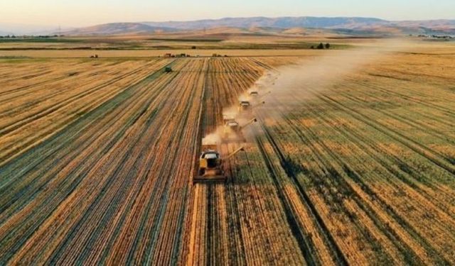 İşlenmeyen Tarım arazileri için yeni karar: 81 ilde hayata geçiyor