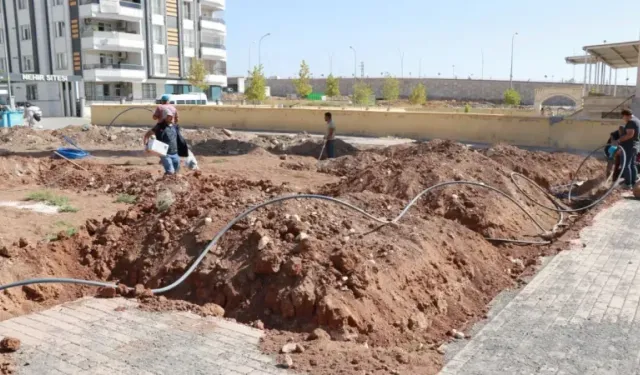 Haliliye Belediyesi ile yeşil alanlara önem veriliyor (VİDEO)