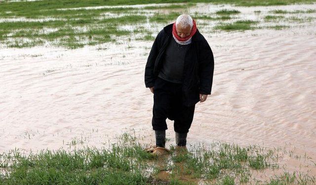 Ürünleri zarar gören çiftçiler dikkat!: Bunu yapmazsanız hak kaybına uğrayabilirsiniz