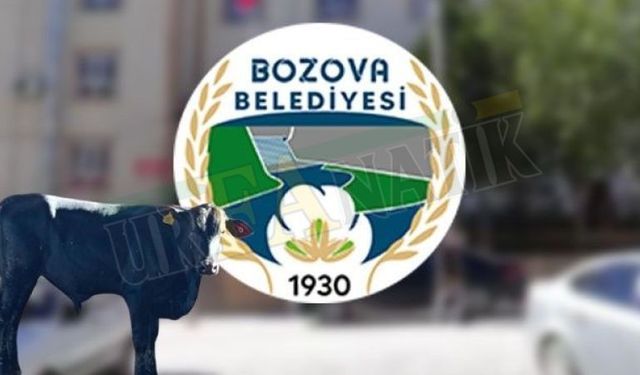 Bozova Belediyesi sosyal medyasında kaybolan Boğa’yı paylaştı