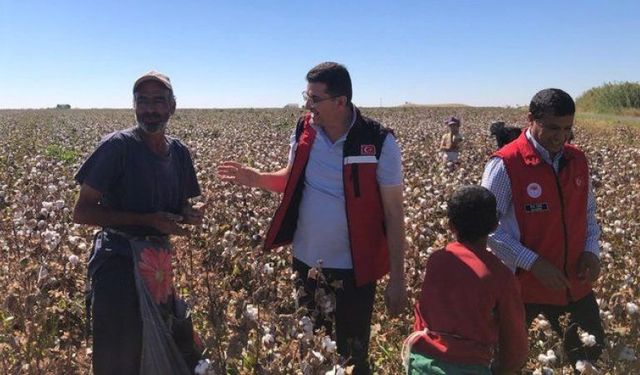 Şanlıurfa’da Pamuk üretiminde 1. olan ilçe belli oldu