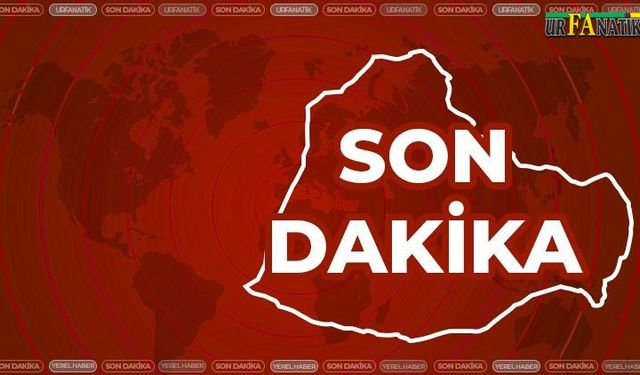 Viranşehir'de çok sayıda silah ele geçirildi