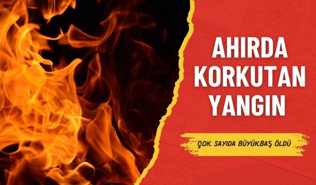 Halfeti’de Ahır Yangını: Çok Sayıda Büyükbaş Öldü