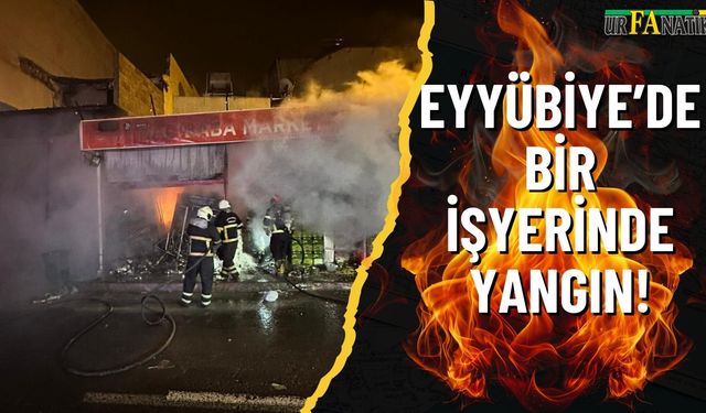 Eyyübiye’de Bir İşyerinde Yangın!