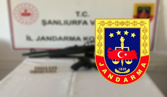 Şanlıurfa İl Jandarma Komutanlığından 4 İlçeye Operasyon