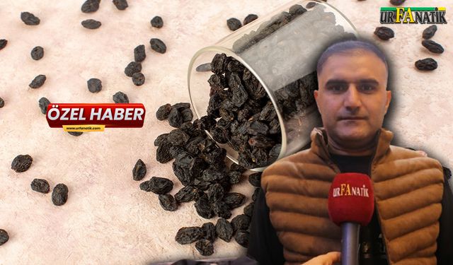 Şanlıurfa’da Kuru Üzümün Fiyatı Belli Oldu