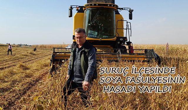 Suruç ilçesinde soya fasulyesinin hasadı yapıldı