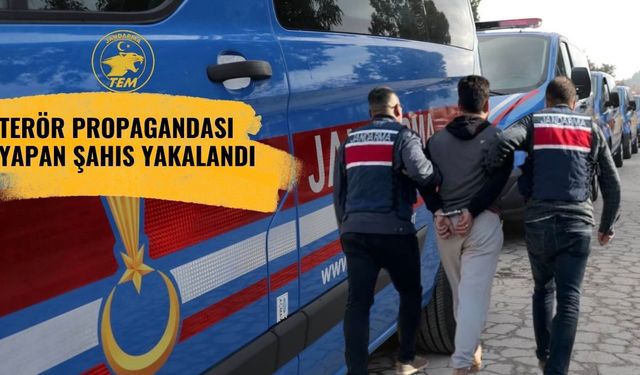 Şanlıurfa Jandarması, Propaganda Yapan Şahsı Yakaladı