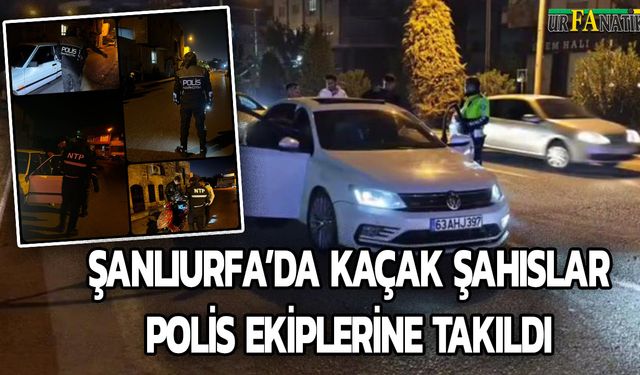 Şanlıurfa'da Kaçak 25 Şahıs Polis Ekiplerine Takıldı