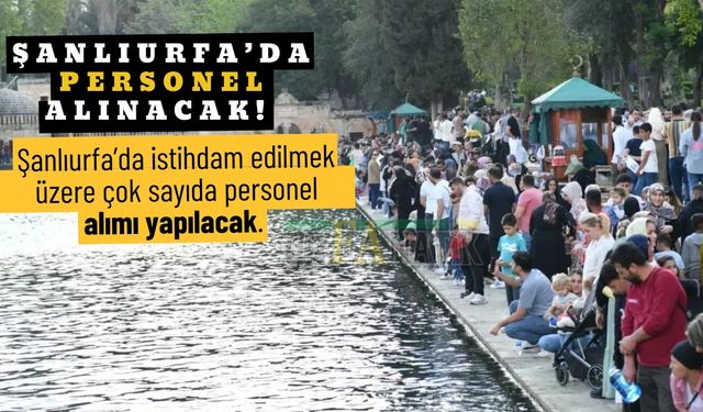 Şanlıurfa’da Personel Alınacak! İşte Aranan Şartlar