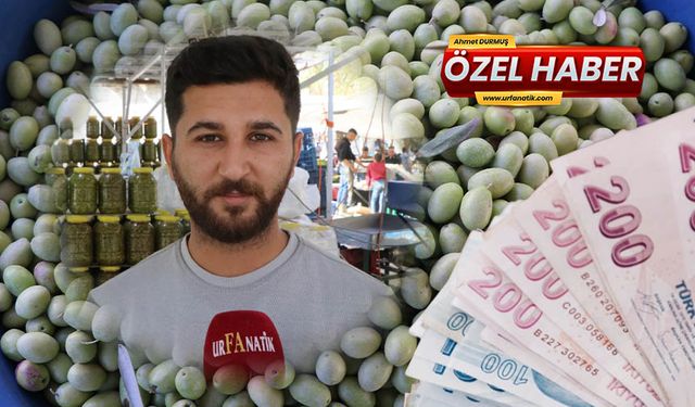 Şanlıurfa’da zeytin fiyatları belli oldu!