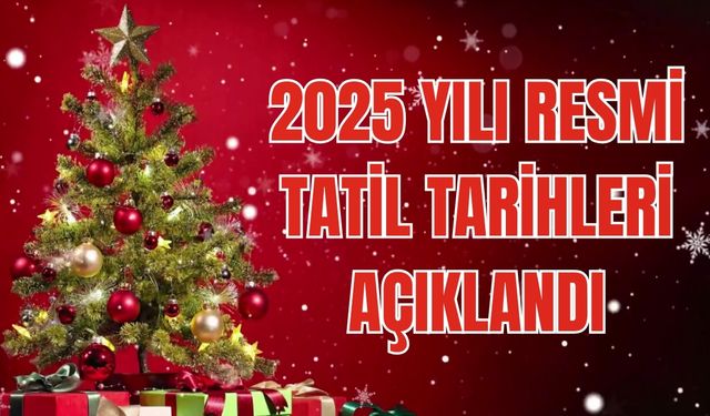 Yılbaşı Tatili Ne Zaman? 2025 Yılı Resmi Tatil Tarihleri Açıklandı