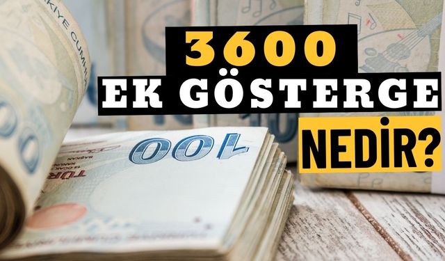 3600 Ek Gösterge Nedir?