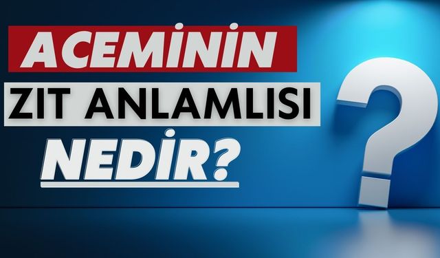 Acemi Kelimesinin Zıt Anlamlısı Nedir