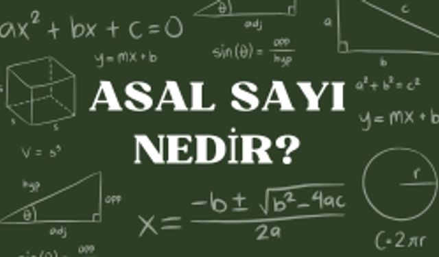 Asal Sayı Nedir?