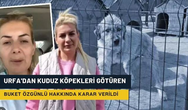 Urfa'dan Kuduz Köpekleri Götüren Buket Özgünlü Tutuklandı