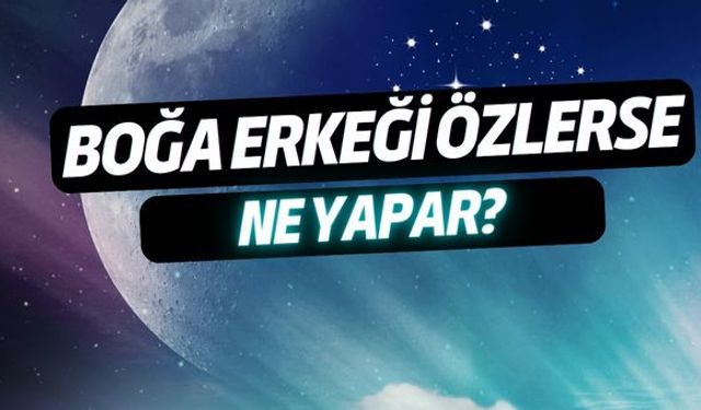 Boğa Erkeği Özlerse Ne Yapar?