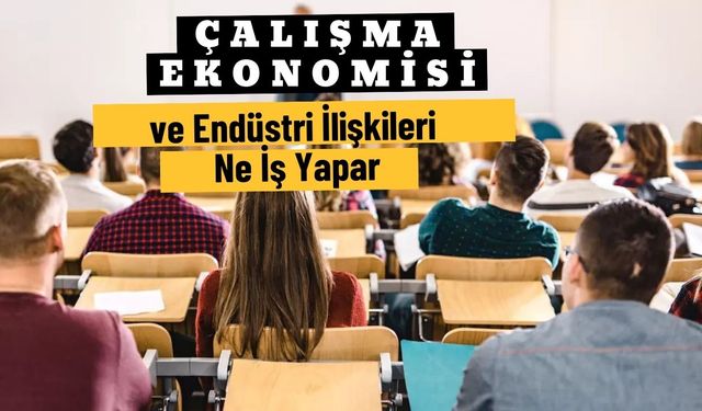 Çalışma ekonomisi ve endüstri ilişkileri nedir? İş Olanakları