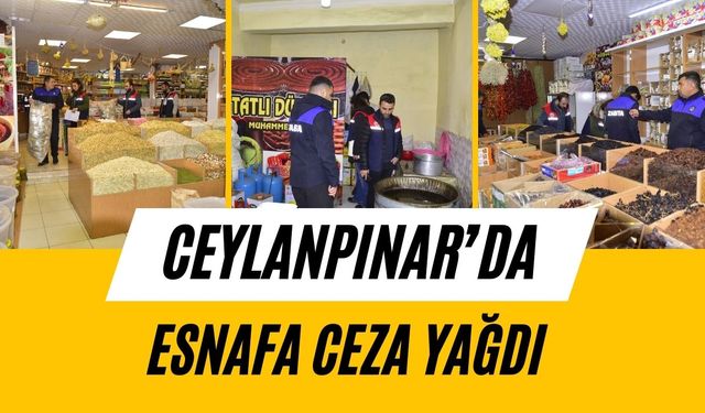 Ceylanpınar’da Gıda Denetimlerine Ceza Şoku!