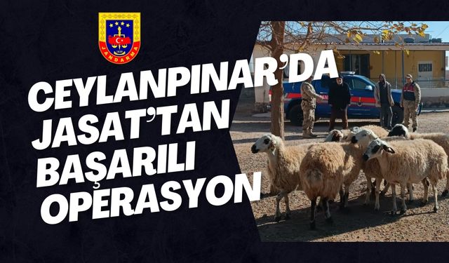 Ceylanpınar’da JASAT, Çalınan Koyunları Buldu