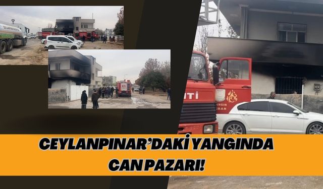 Ceylanpınar’daki Yangında Can Pazarı!