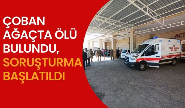 Şanlıurfa’da Korkunç Olay: Çoban Ağaçta Asılı Bulundu