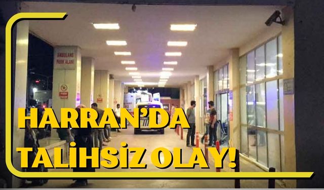 Harran İlçesinde Talihsiz Olay: Henüz Daha 11 Yaşında…