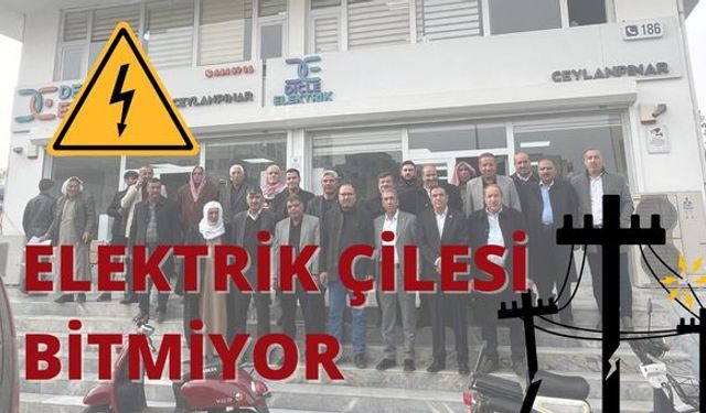 Ceylanpınarlı Muhtarlar Elektrik Kesintilerine Dert Yandı