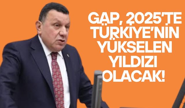 Özyavuz’dan GAP’a 2025’te Dev Yatırım Müjdesi!