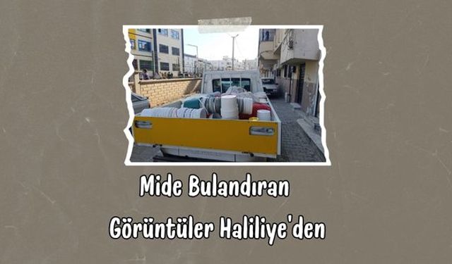 Haliliye’de Merdiven Altı İşyerine Baskın: Mide Bulandıran Görüntüler