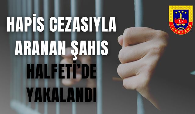 Hapis Cezasıyla Aranan Şahıs Halfeti’de Yakalandı