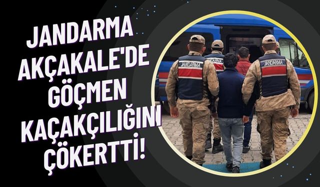 Jandarma Akçakale'de Göçmen Kaçakçılığını Çökertti!