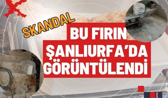 Şanlıurfa'da Görüntülenen Fırınlar Mide Bulandırdı