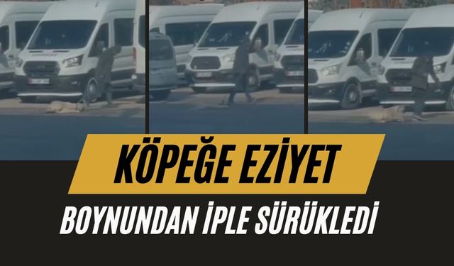 Karaköprü’de Köpeğe İple İşkence! O Anlar Kamerada