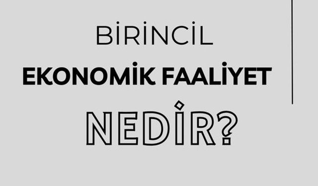 Birincil Ekonomik Faaliyet Nedir?