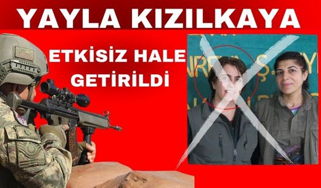 Yayla Kızılkaya Etkisiz Hale Getirildi