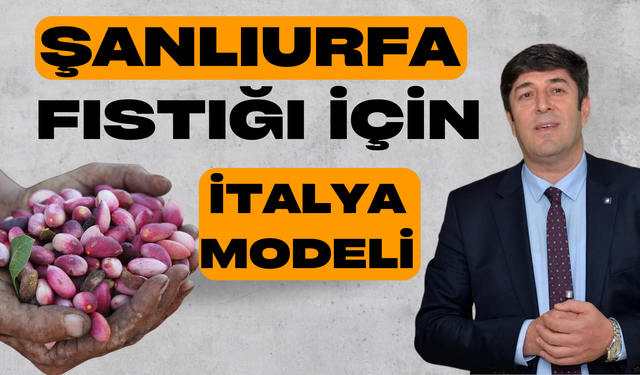 Şanlıurfa Fıstığı İçin İtalya Modeli