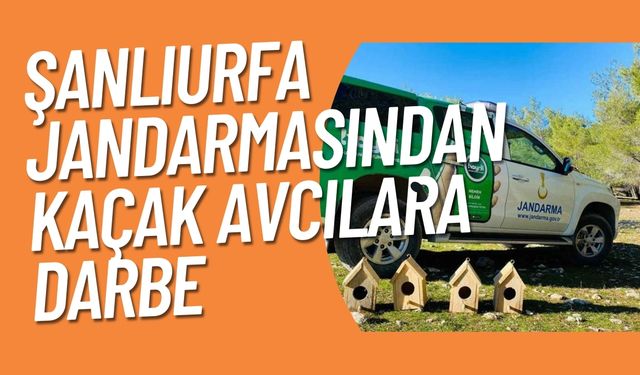 Jandarma Ekiplerinden Akçakale’de Kaçak Avcılara Darbe