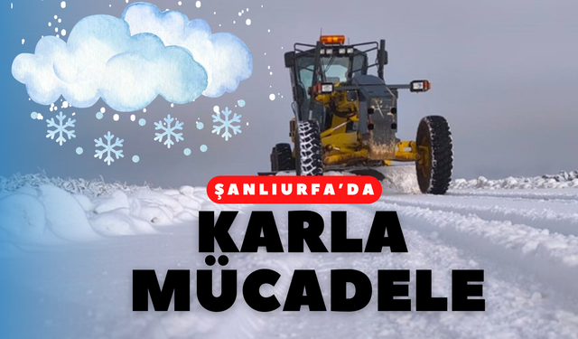 Şanlıurfa'da Karla Mücadele Ediliyor