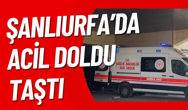 Şanlıurfa’da Çok Sayıda Fabrika İşçisi Hastanelik Oldu