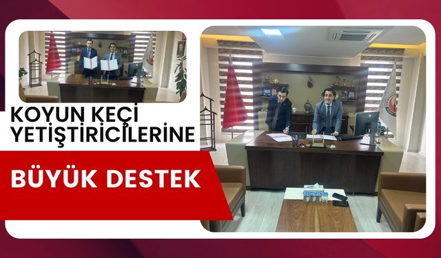 Şanlıurfa'da Koyun Keçi Yetiştiricilerine Büyük Destek