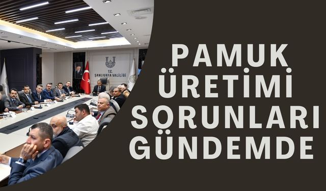 Şanlıurfa'da Pamuk Üretimi İçin Kritik Toplantı