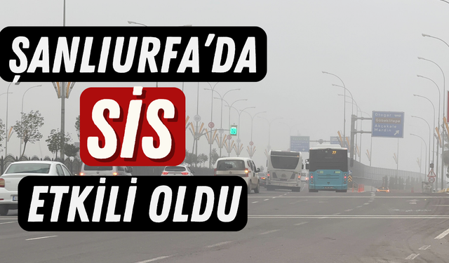 Şanlıurfa’da Soğuk Hava ve Sis Etkili Oluyor