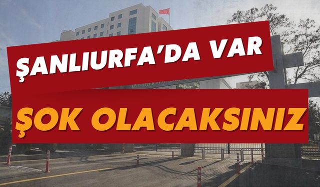 Şanlıurfa’da Var: Ele Geçirilenleri Duyunca Şok Olacaksınız