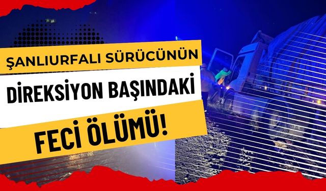 Şanlıurfalı Sürücünün Direksiyon Başındaki Feci Ölümü!