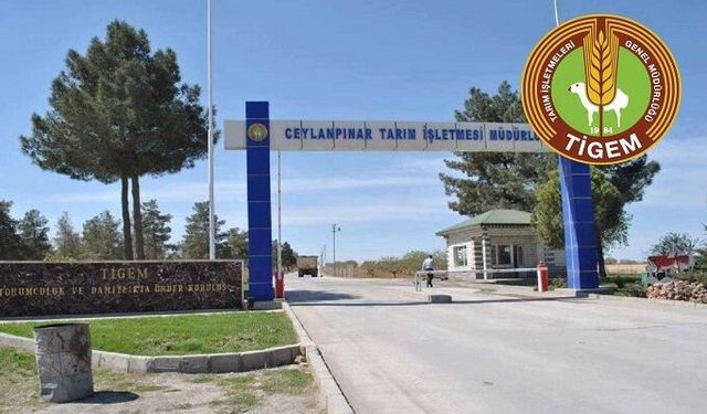 PERSONEL HİZMETİ ALINACAKTIR TARIM İŞLETMELERİ GENEL MÜDÜRLÜĞÜ (TIGEM) CEYLANPINAR TARIM İŞLETMESİ MÜDÜRLÜĞÜ