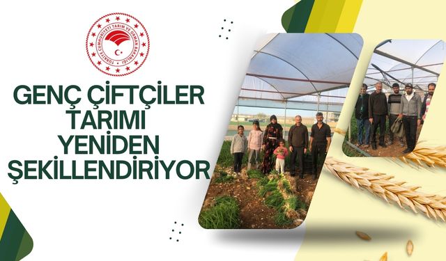 Şanlıurfa'da Genç Çiftçiler Tarımı Yeniden Şekillendiriyor