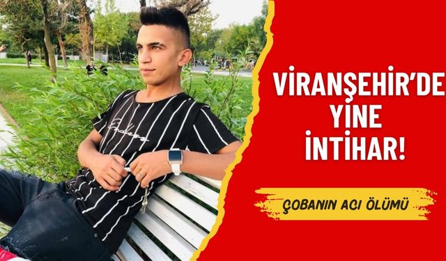 Viranşehir’de Genç Çoban Silahla Kendini Vurdu