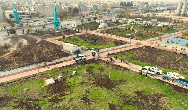 Eyyübiye Millet Bahçesi’nde Kış Bakımı